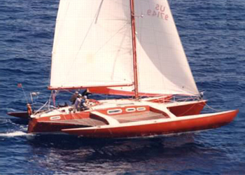 Damiana.jpg