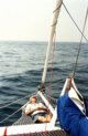 Zazen ford nets
thumbnail